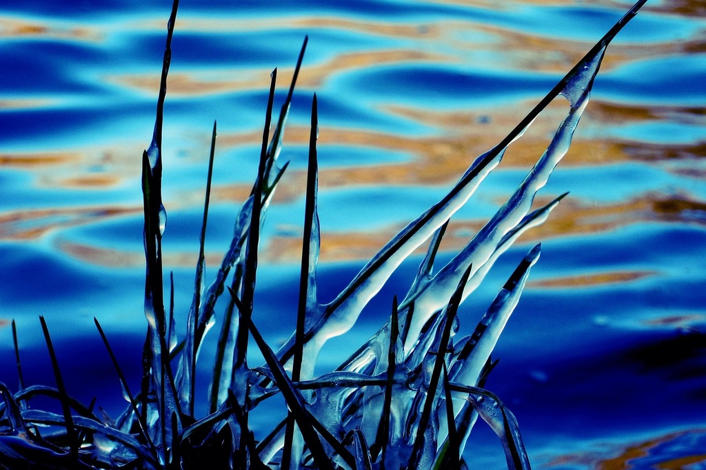 FLEX Eau De Glace  Bleu